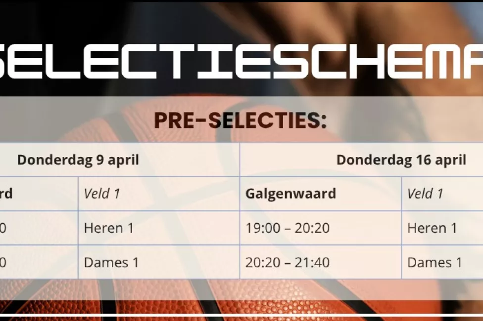 Selectieschema